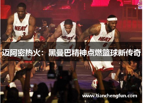 迈阿密热火：黑曼巴精神点燃篮球新传奇