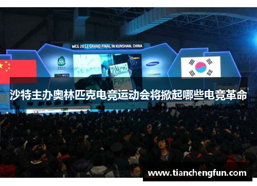 沙特主办奥林匹克电竞运动会将掀起哪些电竞革命