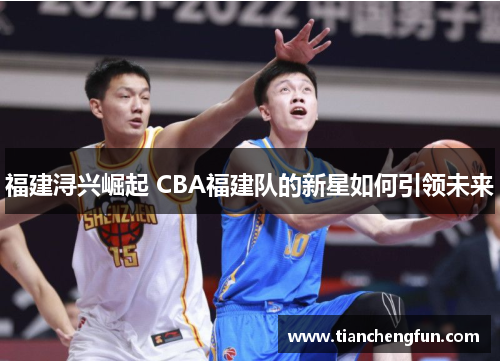 福建浔兴崛起 CBA福建队的新星如何引领未来